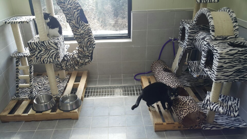 당진시, 동물보호소 개관