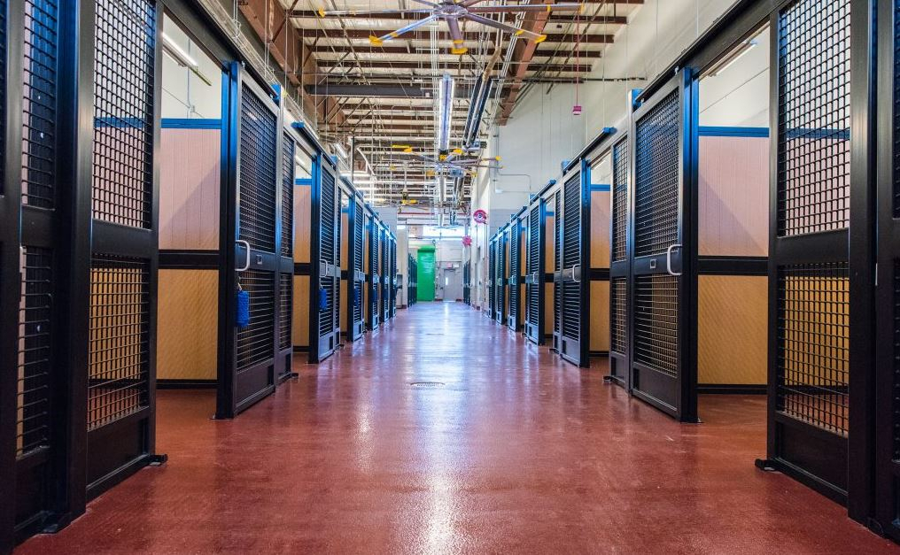 '현대판 노아의 방주', 美 JFK공항 동물터미널 개장