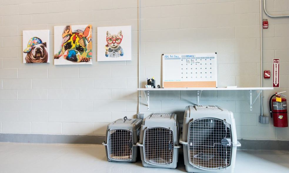 '현대판 노아의 방주', 美 JFK공항 동물터미널 개장