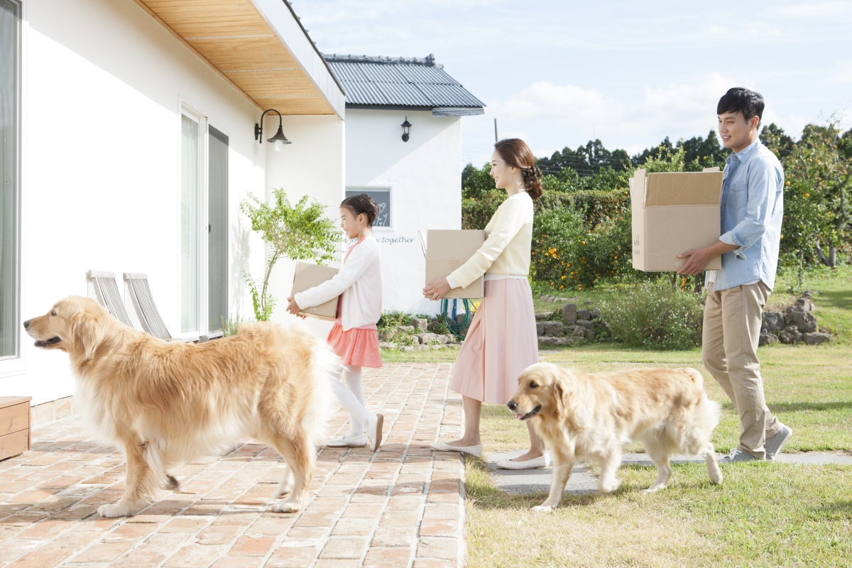 반려동물 키우기 전, 스스로에게 물을 질문 6가지