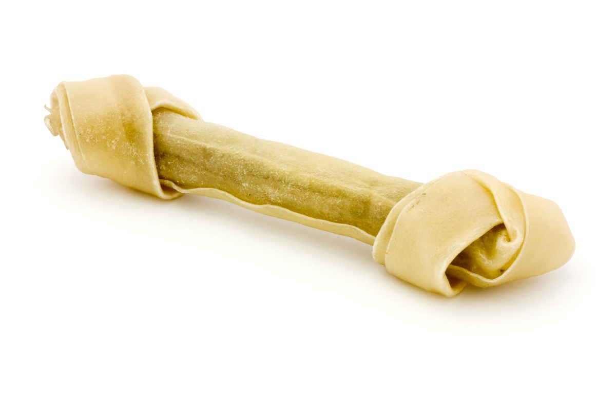 반려인이 잘 모르는 반려견이 피해야할 음식 7가지