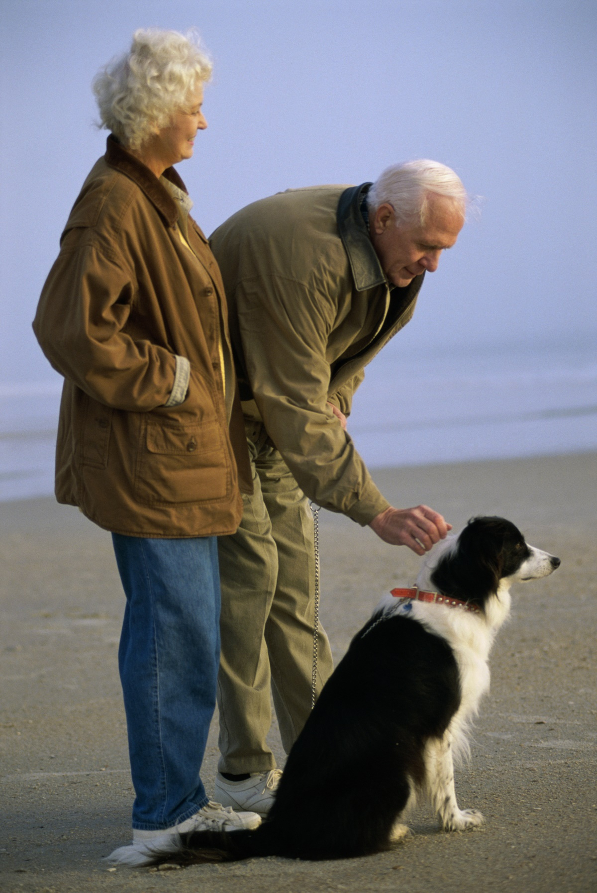 반려동물이 사람건강을 돕는 3가지 이유