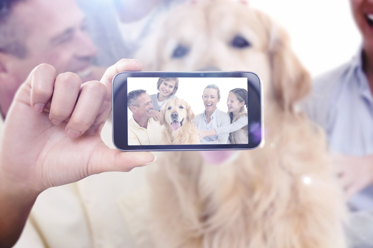 반려견과 사진찍는 노하우 3가지