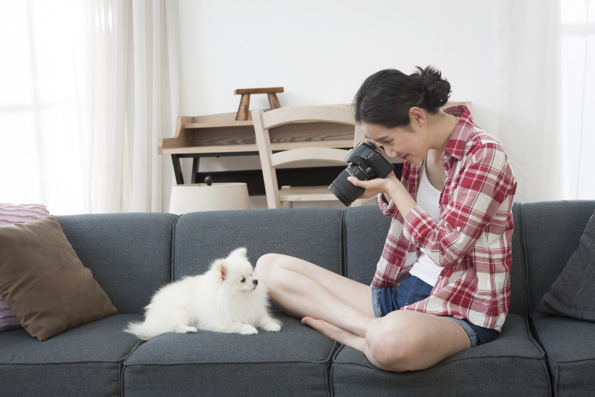 반려견 '인생샷' 남기는 4가지 노하우
