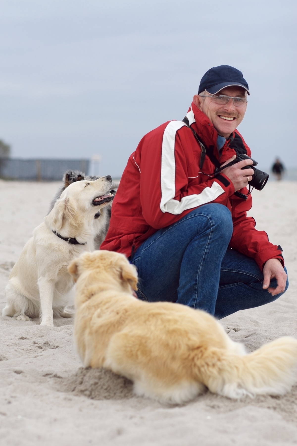 반려견 '인생샷' 남기는 4가지 노하우