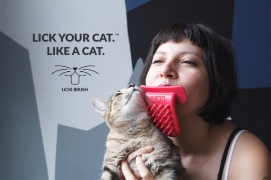 반려인 사로잡은 독특한 장난감... 반려묘 직접 그루밍해주는 LICKI BRUSH