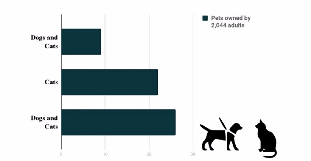 애완 동물 키우는 사람은 그렇지 않은 사람보다 더 건강할까