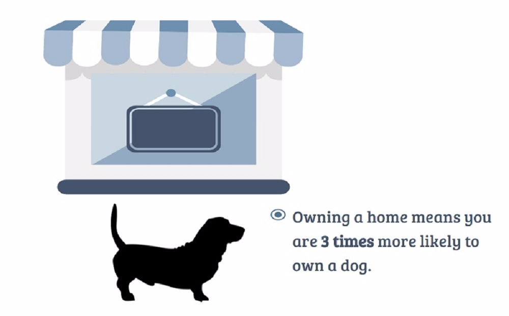애완 동물 키우는 사람은 그렇지 않은 사람보다 더 건강할까
