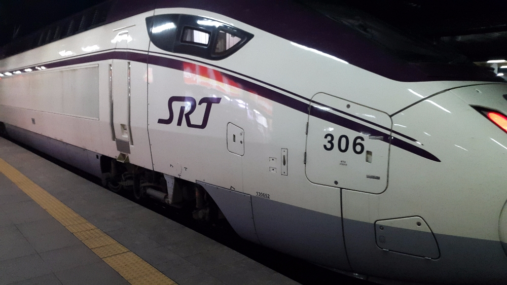 반려동물 데리고 대중교통 이용 시 유의사항 숙지해야