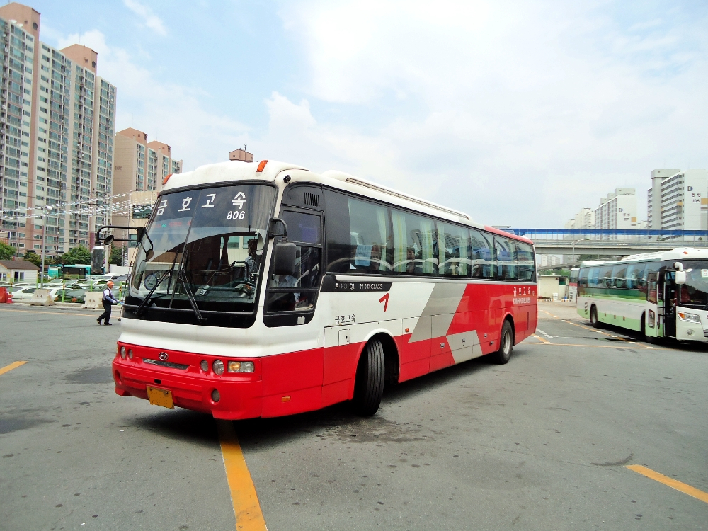 반려동물 데리고 대중교통 이용 시 유의사항 숙지해야