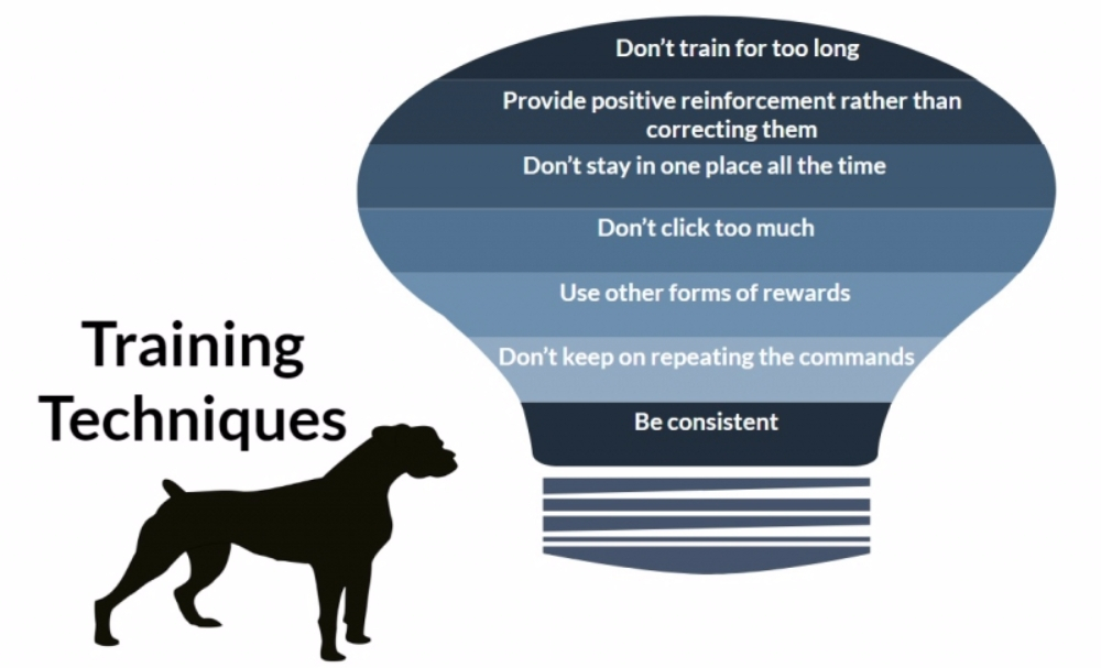 반려견을 위한 효과적인 훈련 기술