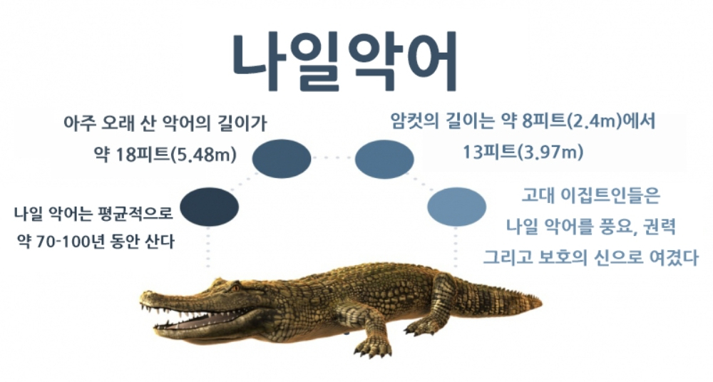 오래오래 장수하는 동물들