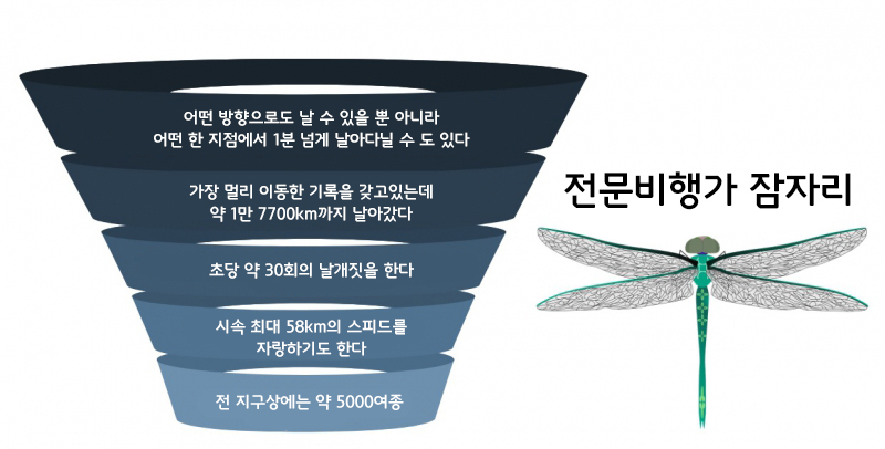 비행 전문가 잠자리의 놀라운 능력