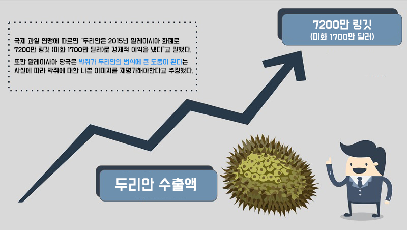 과일박쥐의 멸종위기, 두리안 감소 부른다