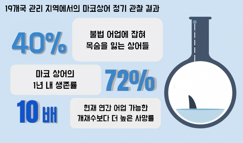남획으로 죽어가는 상어를 되살릴 방법은?