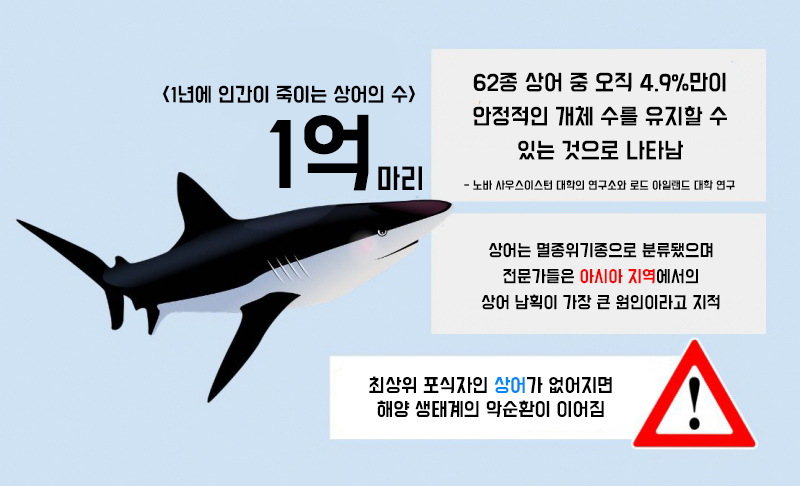 남획으로 죽어가는 상어를 되살릴 방법은?