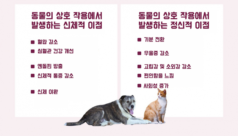 동물과의 상호작용, 스트레스 줄이는 효과는 '미미하다'?