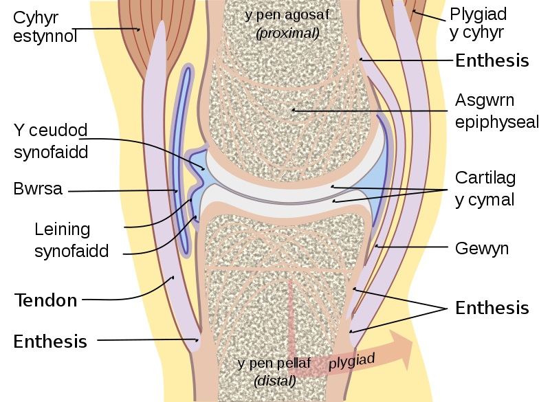 폐경 이후 골다공증 증상, '골다공증에 좋은 음식'으로 해결 가능해