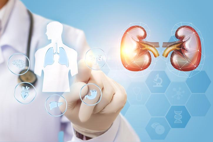 생명 유지에 필요한 '신장암' 예방을 위해서는 금연이 '필수'