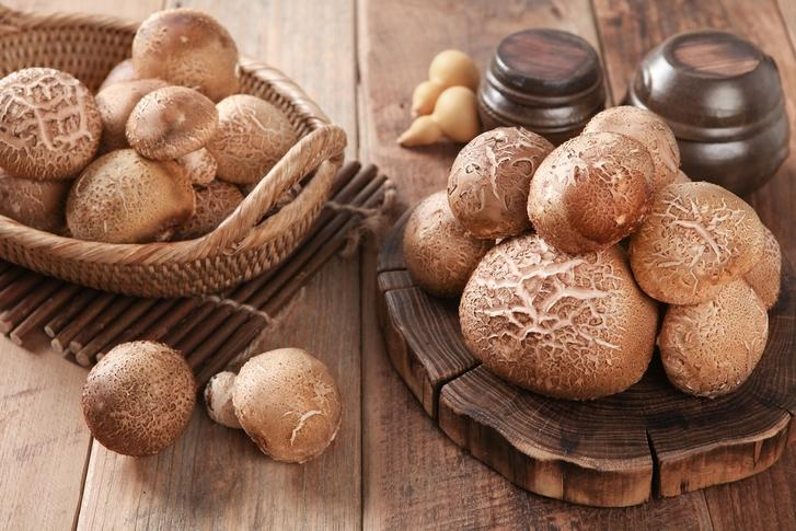 신이 주신 선물 표고버섯, 항암식품으로 뛰어난 표고버섯의 다양한 효능