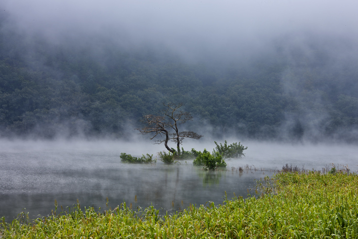 우리나라의 역사를 머금은 해인사가 자리잡은 경남 합천가볼만한곳