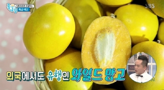 '다이어트 음식'은 '코스트코 추천상품'이 제격? 다이어트 식단·다이어트 도시락 끝판왕 모음