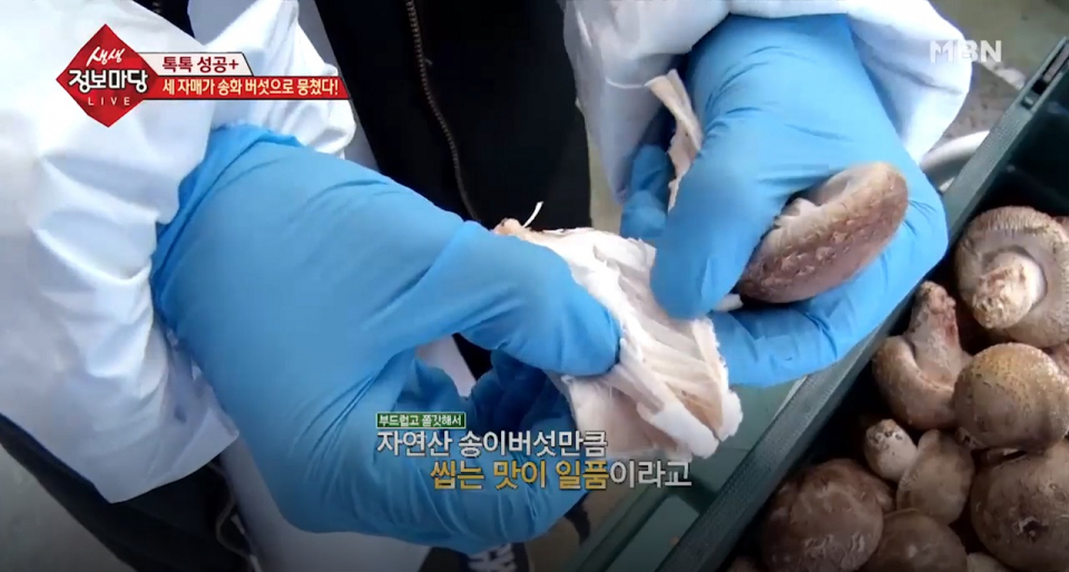 송이향 가득한 '송화버섯', 맛있는 송화버섯 요리 방법과 송화버섯 보관법은?