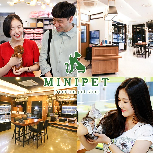 수원, 부평, 동탄 강아지, 고양이분양 전문 ㈜미니펫, 홈페이지 리뉴얼 기념 고객감사이벤트 진행
