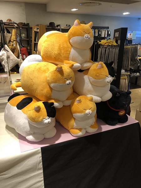 리얼한 고양이 캐릭터 '식빵뚱냥', 온·오프라인에서 꾸준한 인기 끌어