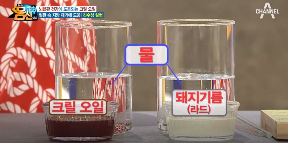 중금속 걱정 없이 지방을 녹이는 지방 크릴오일, 체내흡수까지 빨라…크릴오일의 효능과 부작용은?