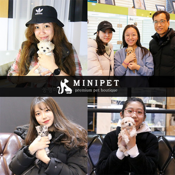 정직한 강아지, 고양이분양 선도하는 애견샵 ㈜미니펫, 소비자에게 정확한 정보 제공
