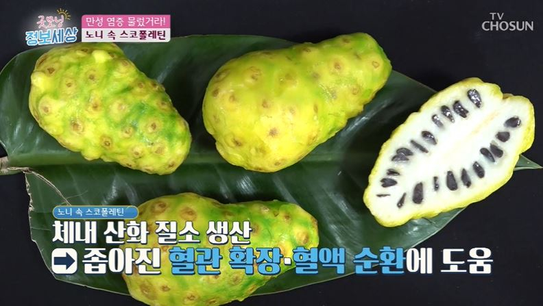 암 발병률 높이는 만성염증, 노니 효능으로 없앨 수 있을까?