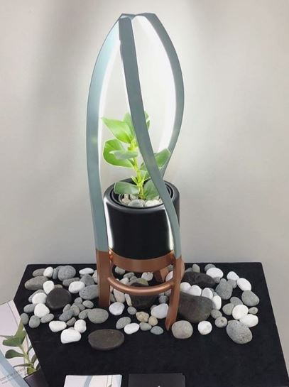 박시은 진태현 입양 ‘진짜가족’ 해시태그에 가슴 찡, 딸과 나이 차이는?