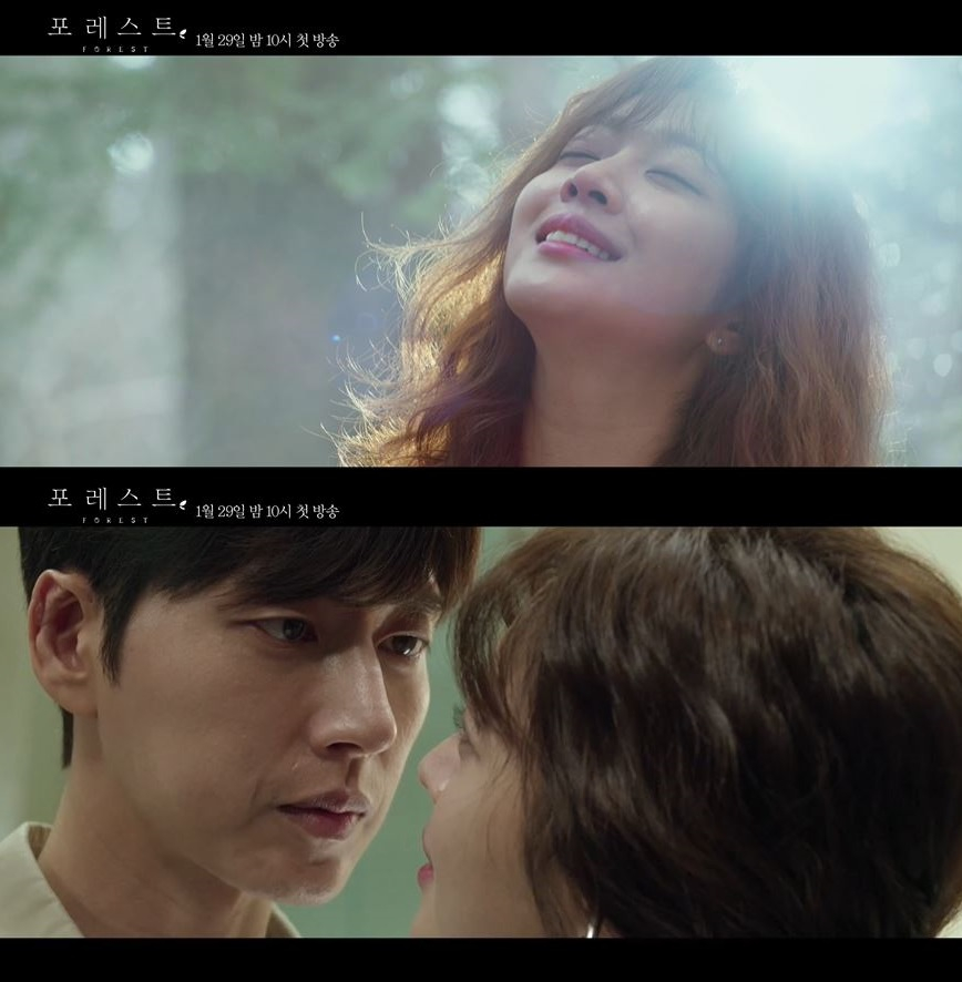 수목드라마 99억의 여자 후속 포레스트 뜻은? 줄거리 ‘독특’