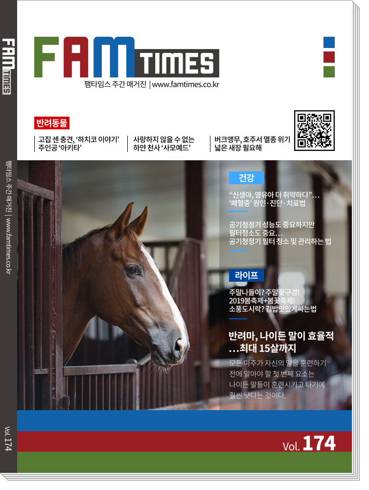 기사 cache test입니다. 수정. * 2 * 3