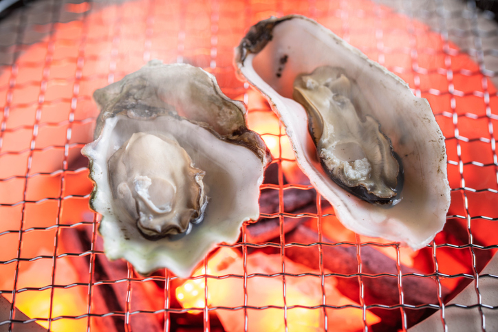 비브리오패혈증 노로바이러스 치사율 달라? 겨울철 생굴 등 어패류 섭취 시 주의