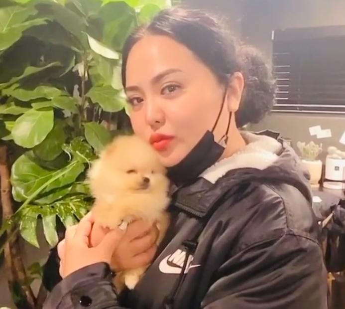 홍진영 언니 홍선영, 반려견 먼지와의 일상 우리 집 막내