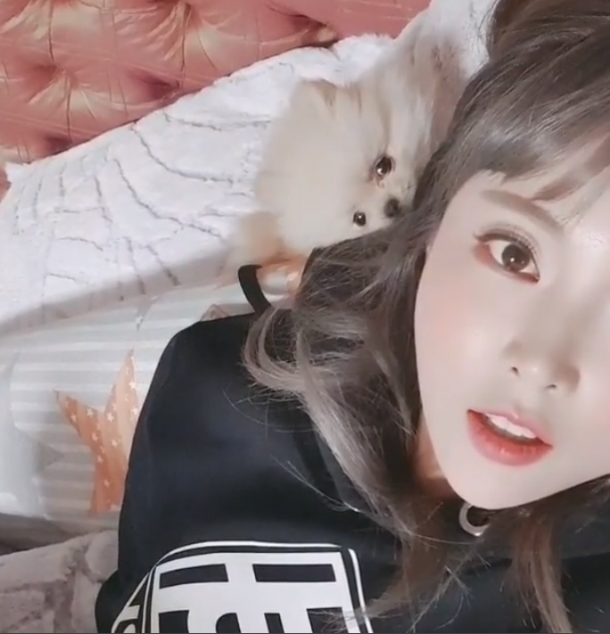 홍진영 언니 홍선영, 반려견 먼지와의 일상 우리 집 막내