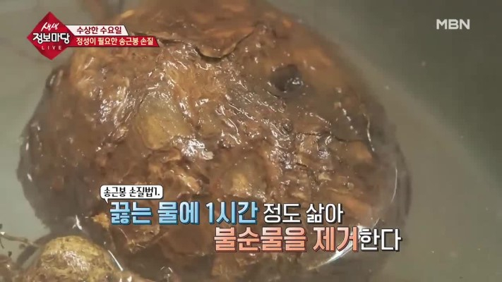 `송근봉` 효능 보니 `소나무에겐 혹, 사람에겐 약`