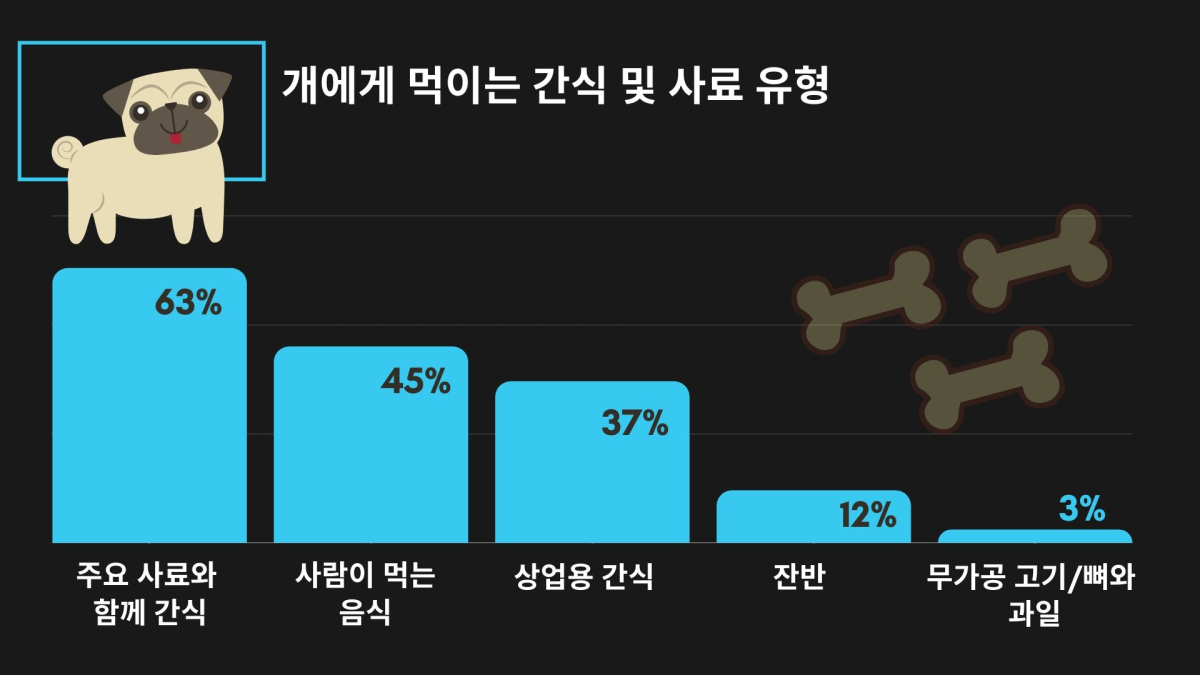 반려동물도 건강기능보조제 먹여야 할까?