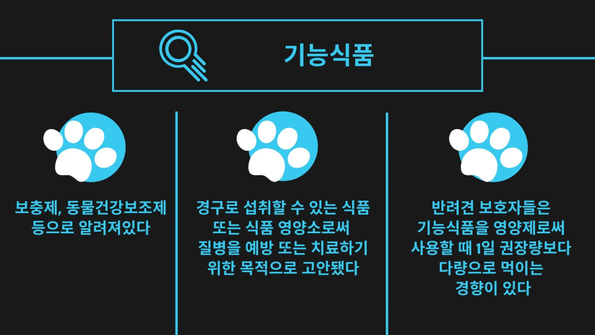 반려동물도 건강기능보조제 먹여야 할까?