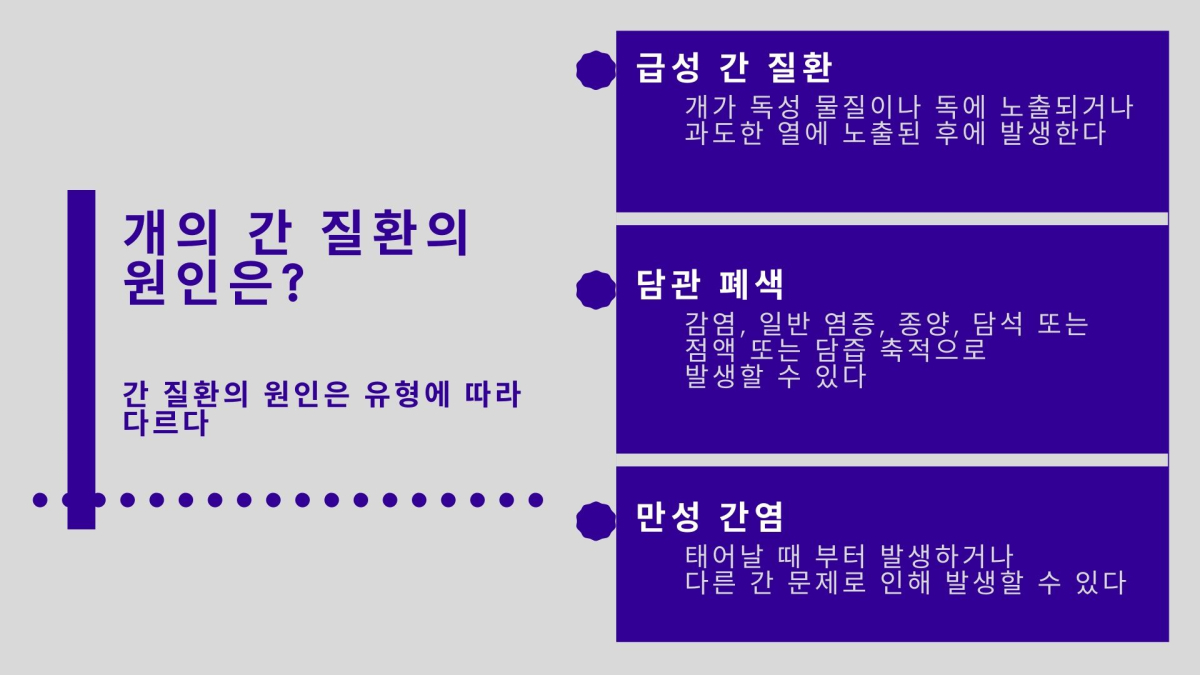 반려견 주의해야 할 ‘간 질환’ 유형과 원인은?