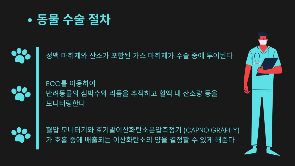 반려동물 수술 앞뒀다면? 반려인으로서 해야 할 일