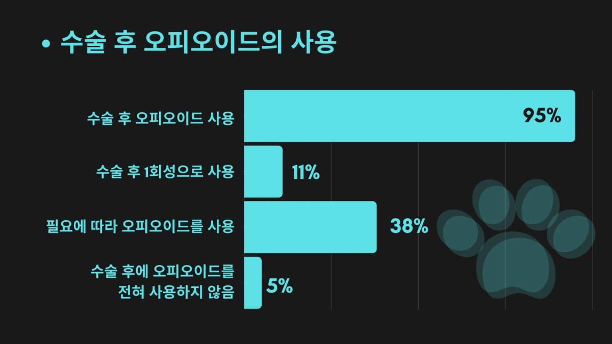 반려동물 수술 앞뒀다면? 반려인으로서 해야 할 일