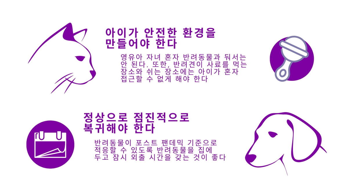 반려동물도 코로나 일상에 적응 中