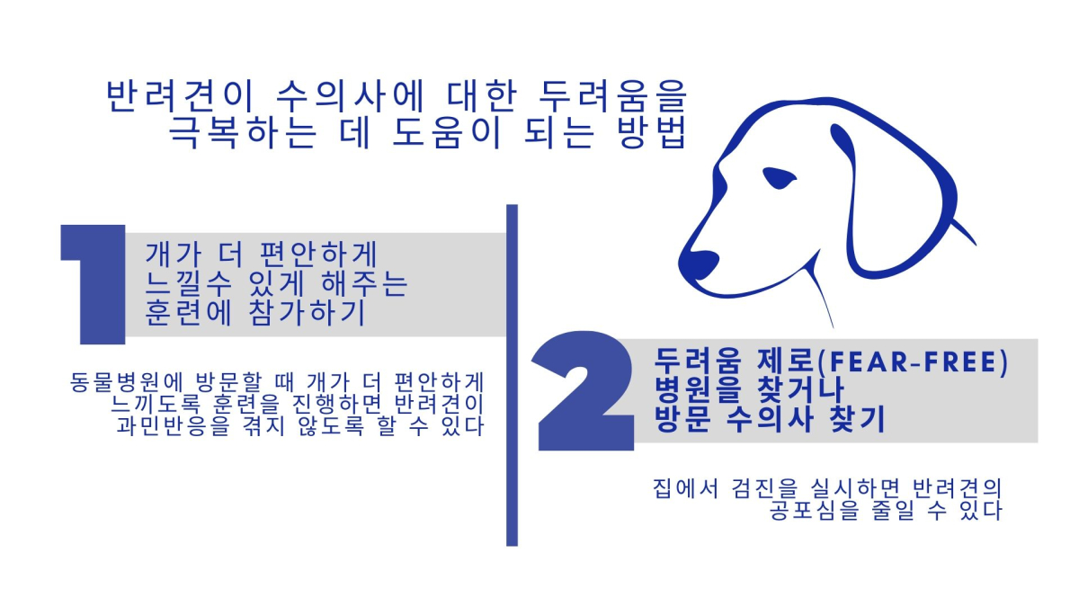 병원 갈 때마다 두려움에 공격성 보인다면? ‘익숙해지기’ 훈련 要