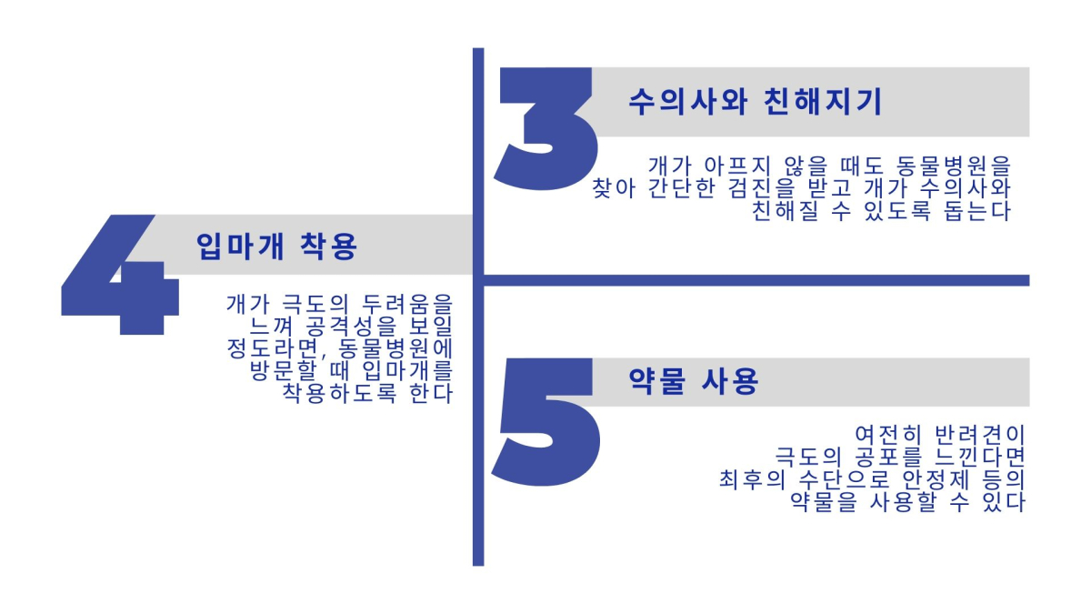 병원 갈 때마다 두려움에 공격성 보인다면? ‘익숙해지기’ 훈련 要