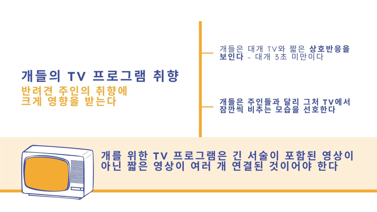 우리 집 반려견도 TV 좋아할까?