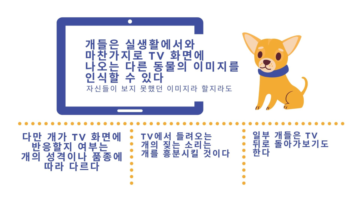 우리 집 반려견도 TV 좋아할까?