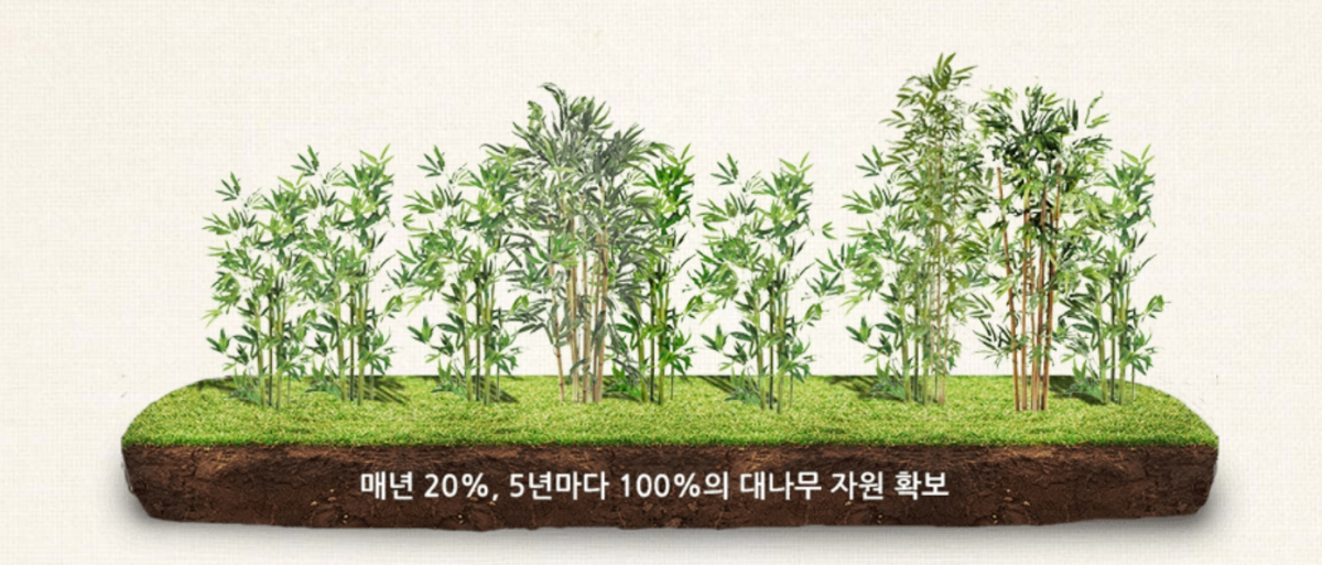 담양 대나무밭 농업, 세계중요농업유산에 등재